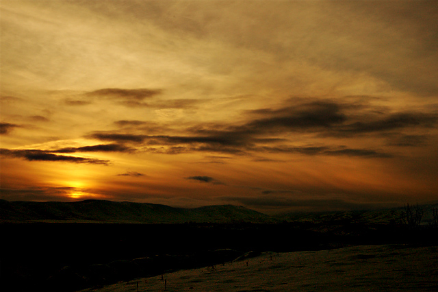 DSC_5682.jpg