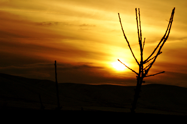 DSC_5669.jpg