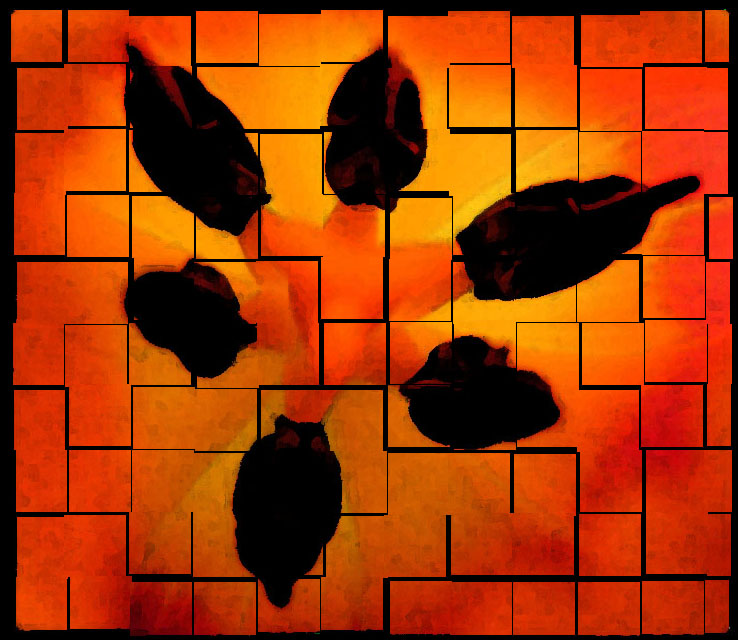Tulip Puzzle