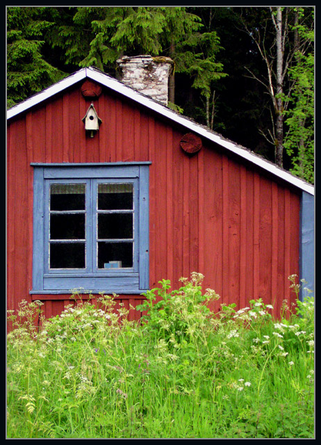 Forest Cottage