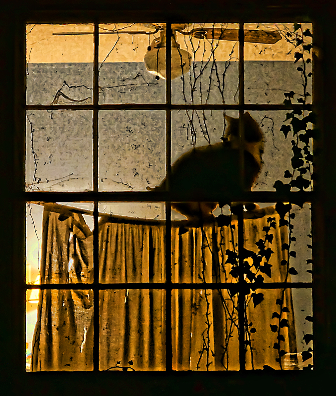 window 3