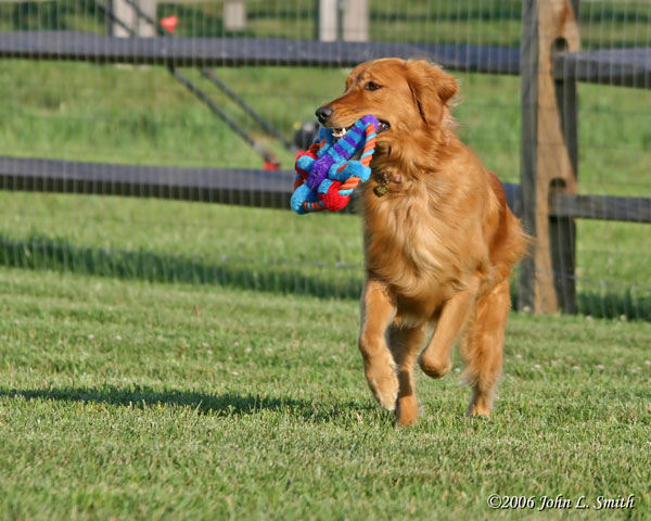 Bailey.jpg