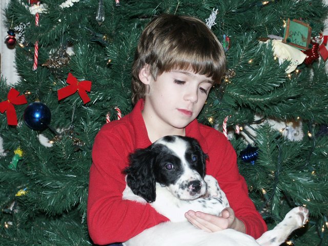 Santa Came a Little Early