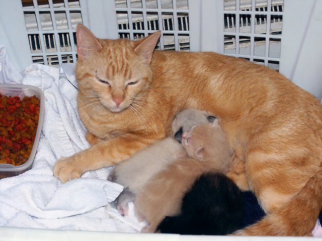 Family snapshot.jpg