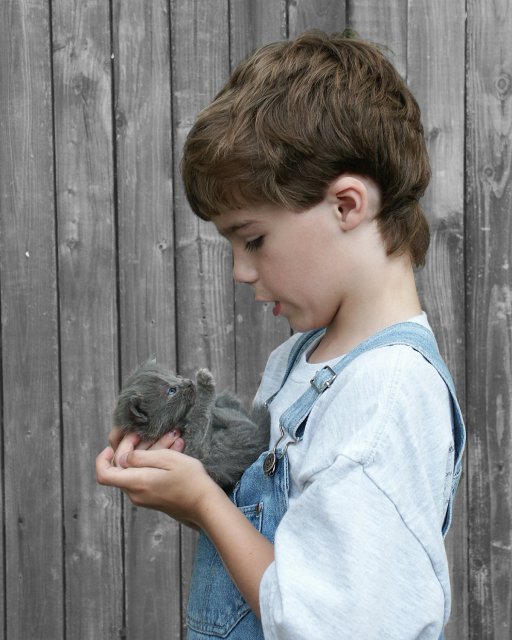 I Promise I Will Take Care of You Little Kitten