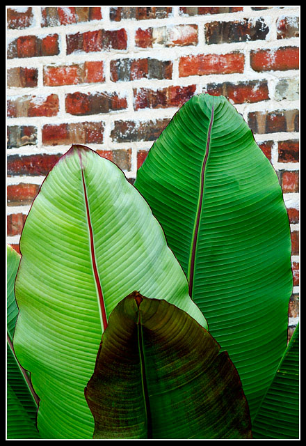 Banana and Brick 2