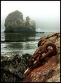 Anchored