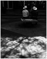 Hats In Shade
