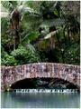 El Yunque Bridge