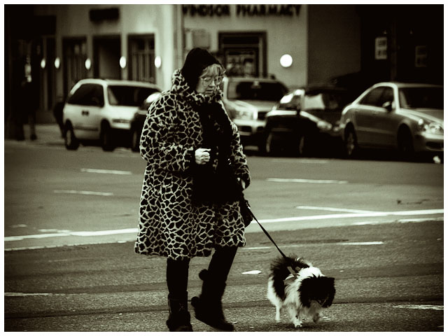 In The Crosswalk