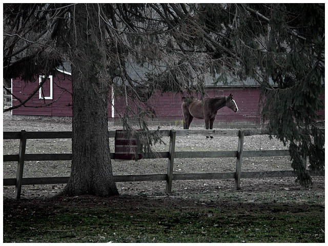 Country Life Outtake 2