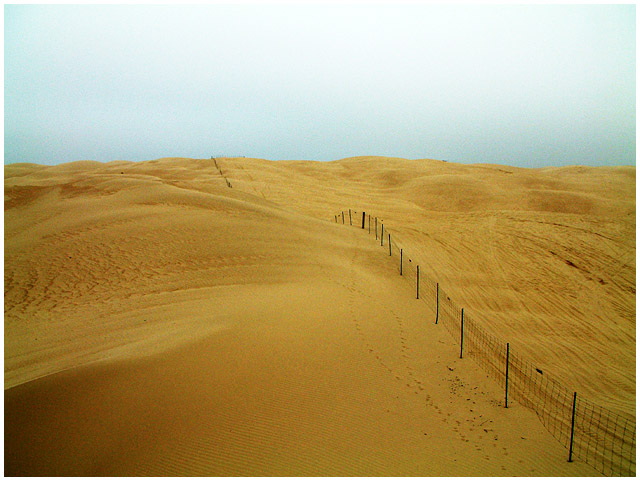 Dunes Fence 3