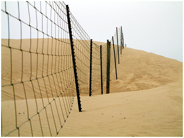 Dunes Fence 5