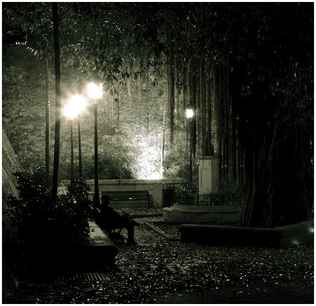 Darkening Moss