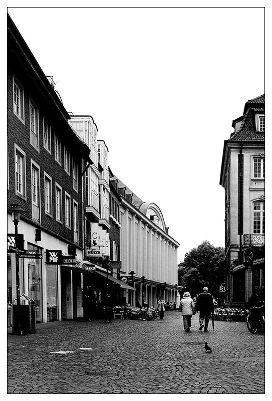 DSC_7793.jpg