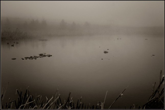 Mist.jpg