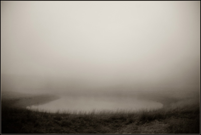 Pond.jpg