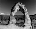 Delicate Arch