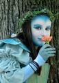 Blue Angel