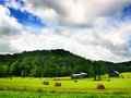 Kentucky Landscape