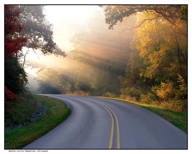 Sun rays
