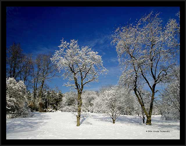 Snow