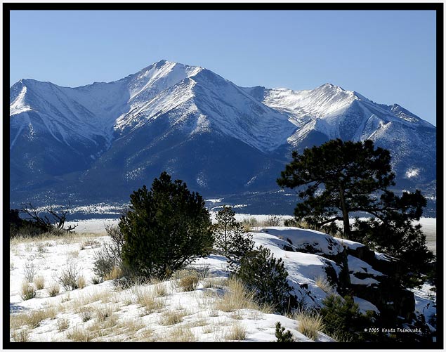 Buena Vista