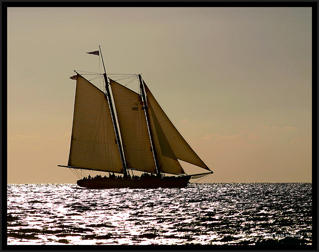 Skipper