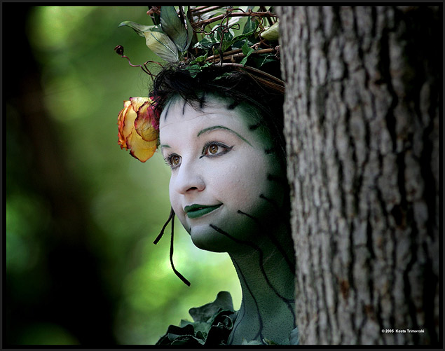 Tree Angel