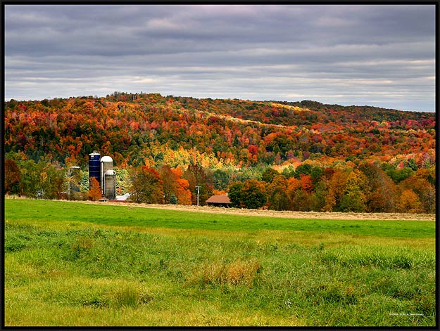 Colorful hill