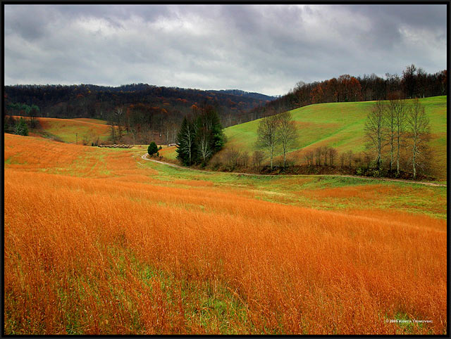 West Virginia