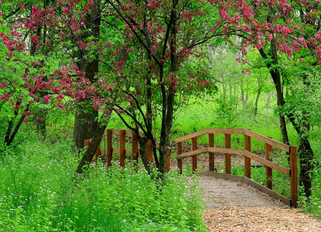 Bridge