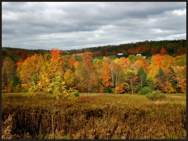 Pennsylvania