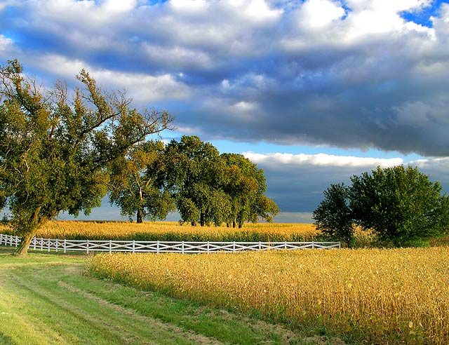 Illinois Fields