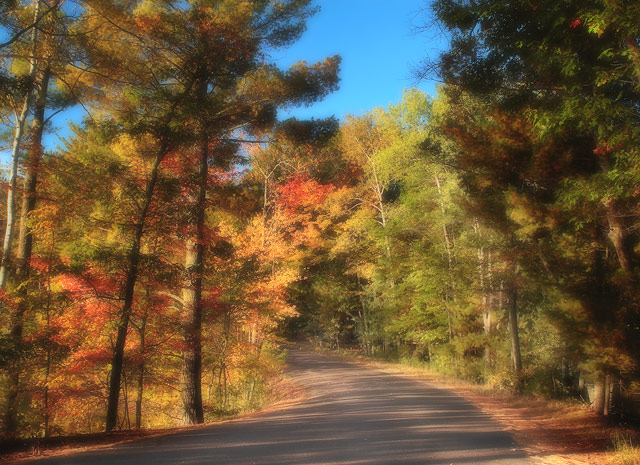 Rustic Road