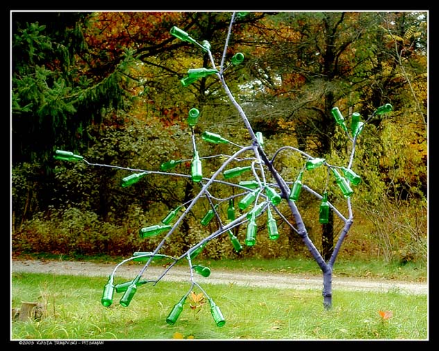 Drunk Tree