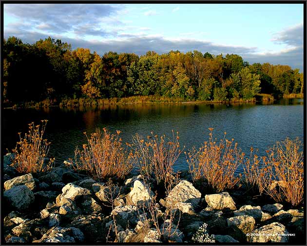 Busse Lake