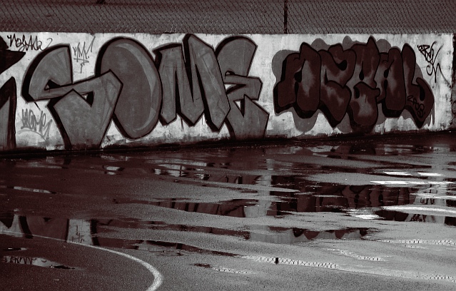 Grafitti Reflections