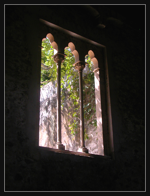 The Light Outside the Window