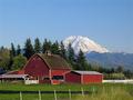 Mt Rainier and barn