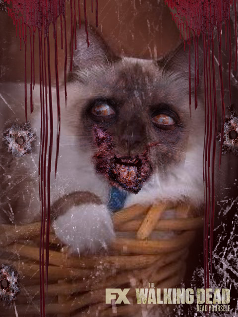 Casper Zombie