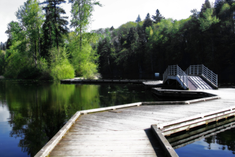 Lake-Fenwick _ gothic-glow
