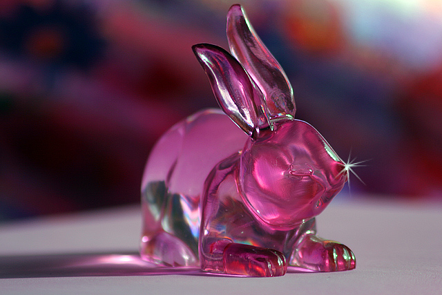 pink wabbit