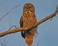 IMG_5317 640.jpg
