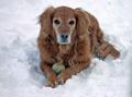 Maggie 640 2341.jpg