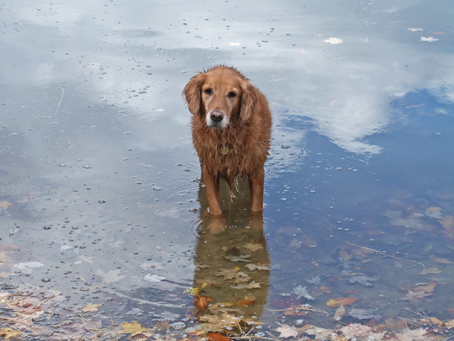 Maggie.jpg