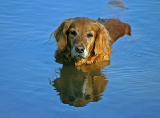 Ms Maggie.jpg