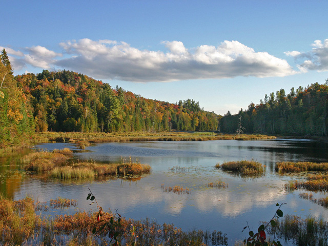Fall picture640.jpg