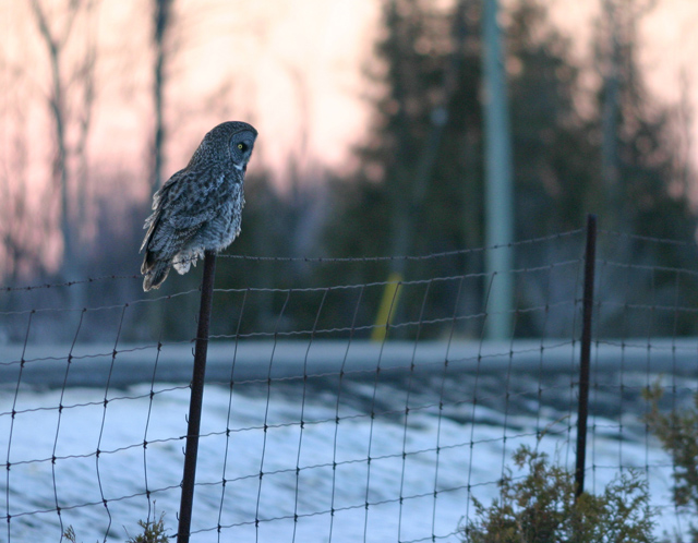 fence_5215 640.jpg