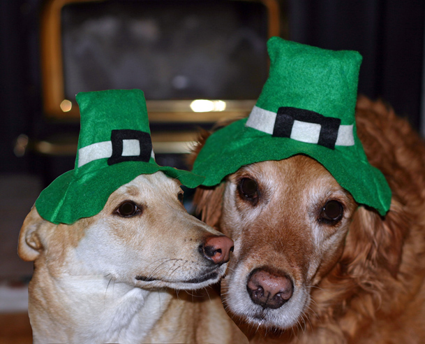 Happy St. Pattys Day 640.jpg